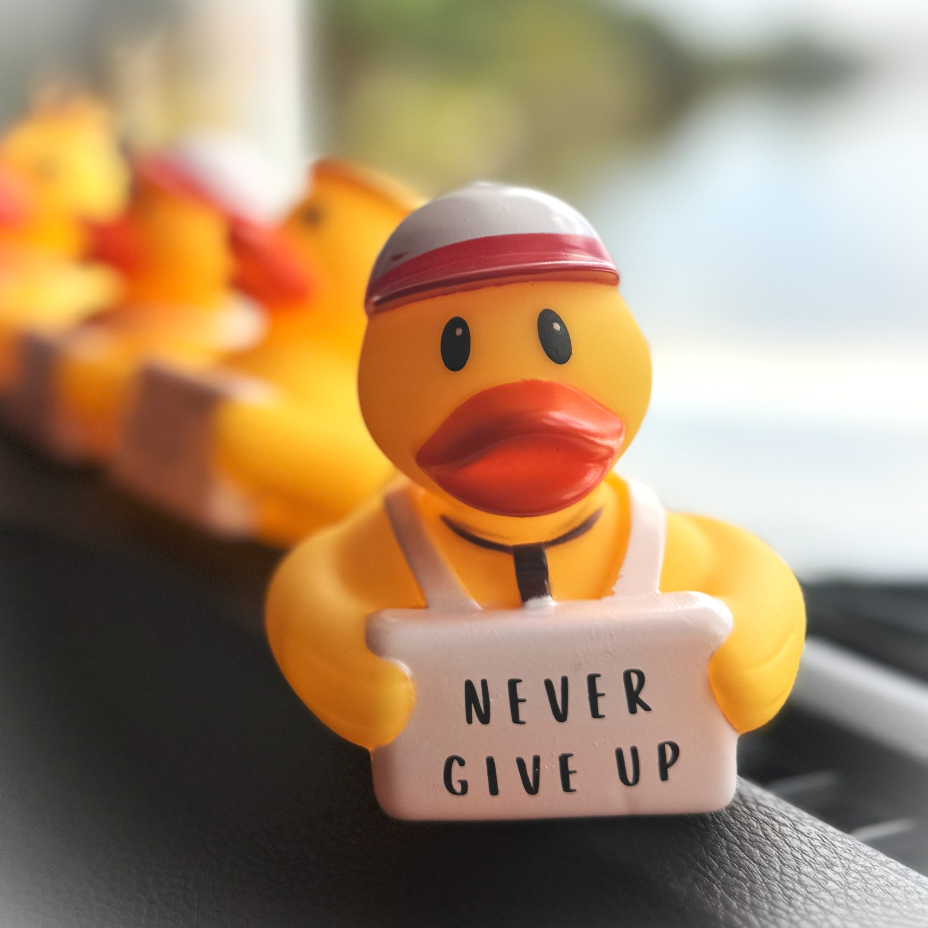DUCKY NOTE - NEVER GIVE UP