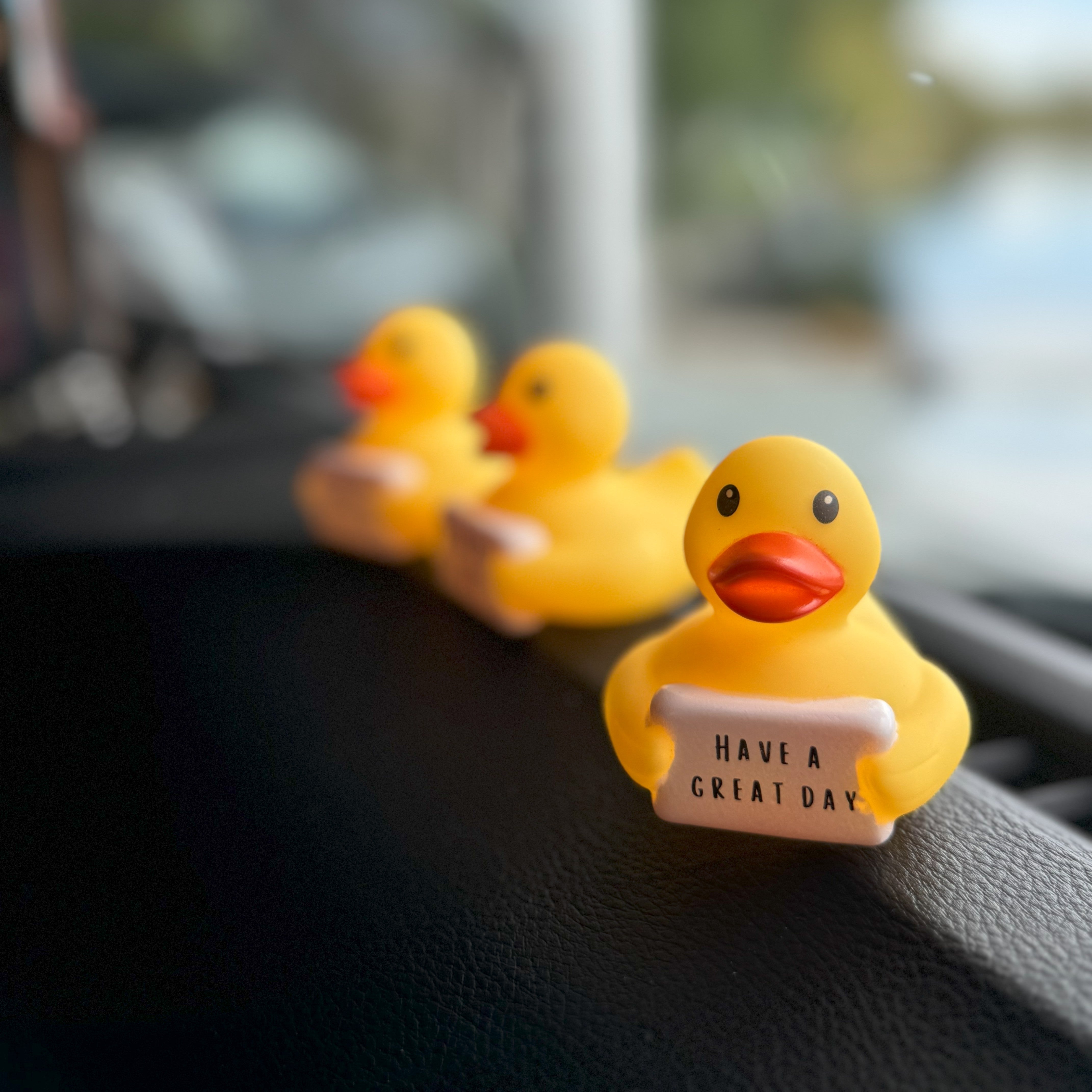 DUCKY NOTE - HAVE A GREAT DAY (MINI)